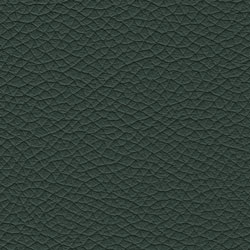 Pelle-5160-Tonelli