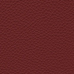 Pelle-5210-Tonelli