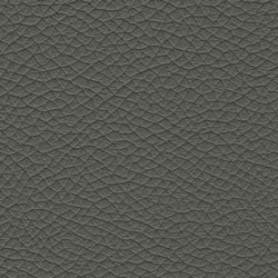 Pelle-5290-Tonelli