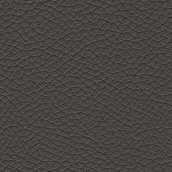 Pelle-5310-Tonelli