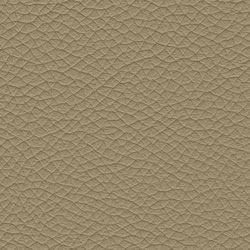 Pelle-5320-Tonelli