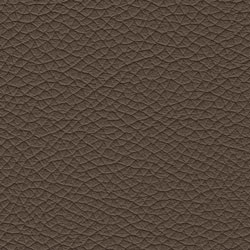 Pelle-5400-Tonelli