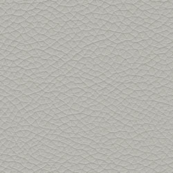 Pelle-5402-Tonelli