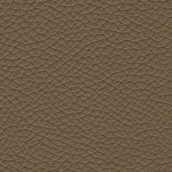 Pelle-5414-Tonelli