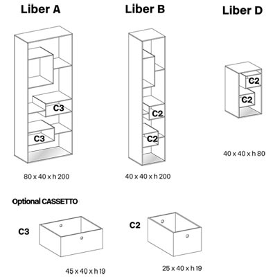 Biblioteca Liber Tonelli medidas