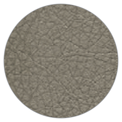 cod-1029.jpg
